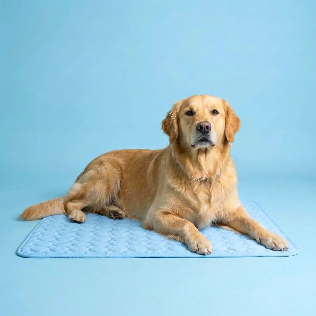 The Pawby Dog Cooling Mat