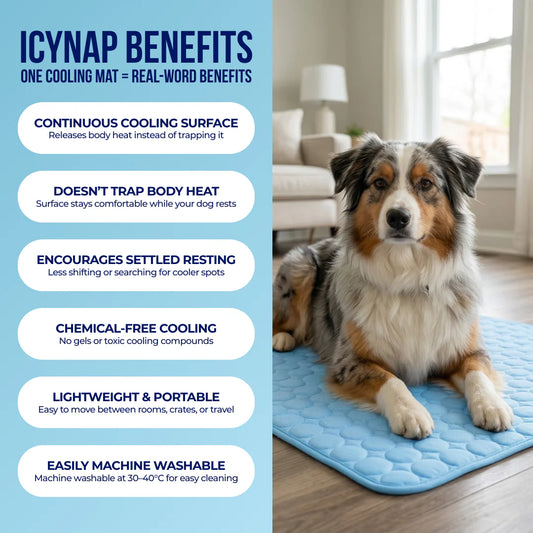 The Pawby Dog Cooling Mat