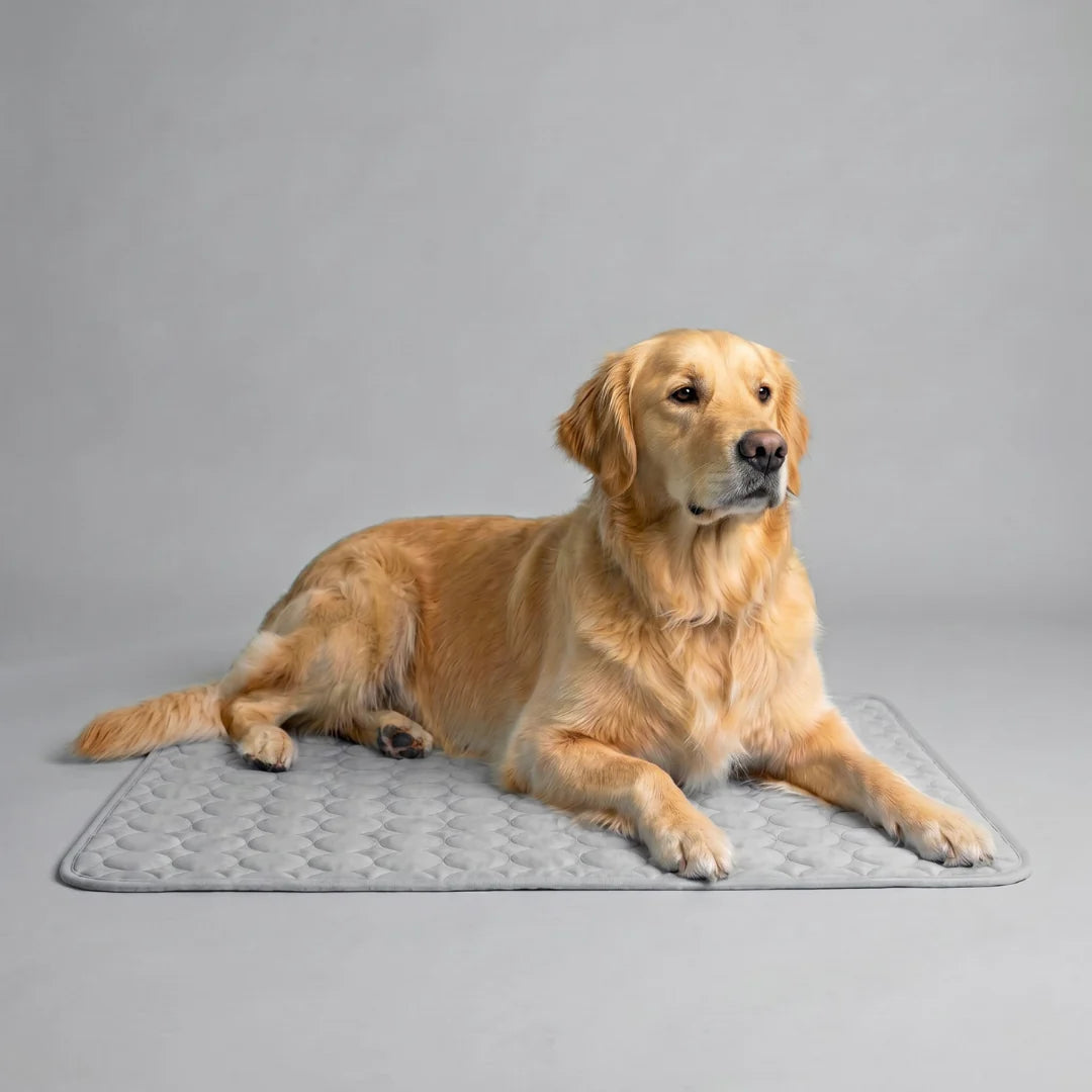 The Pawby Dog Cooling Mat