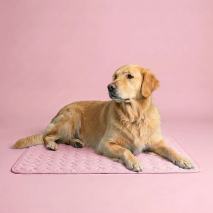 The Pawby Dog Cooling Mat