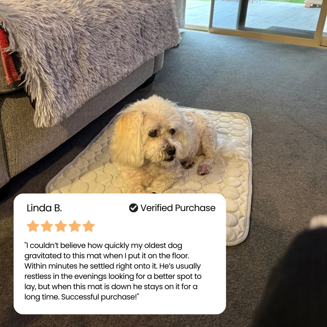 The Pawby Dog Cooling Mat