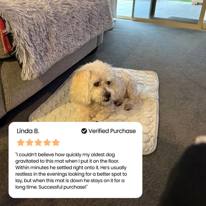 The Pawby Dog Cooling Mat