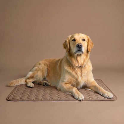 The Pawby Dog Cooling Mat