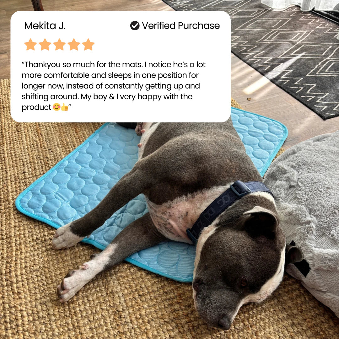 The Pawby Dog Cooling Mat